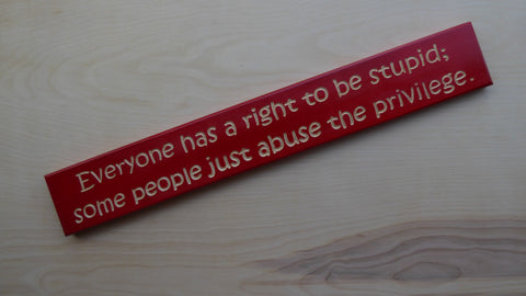 Everyone has a right to be stupid; some people just abuse the privilege.